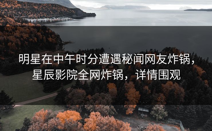 明星在中午时分遭遇秘闻网友炸锅，星辰影院全网炸锅，详情围观