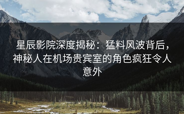 星辰影院深度揭秘：猛料风波背后，神秘人在机场贵宾室的角色疯狂令人意外